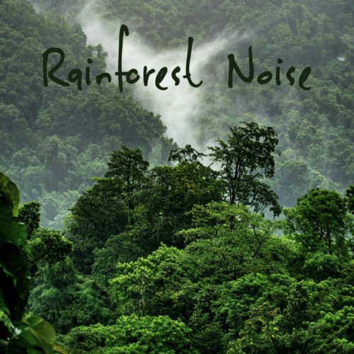 Rainforest Noise