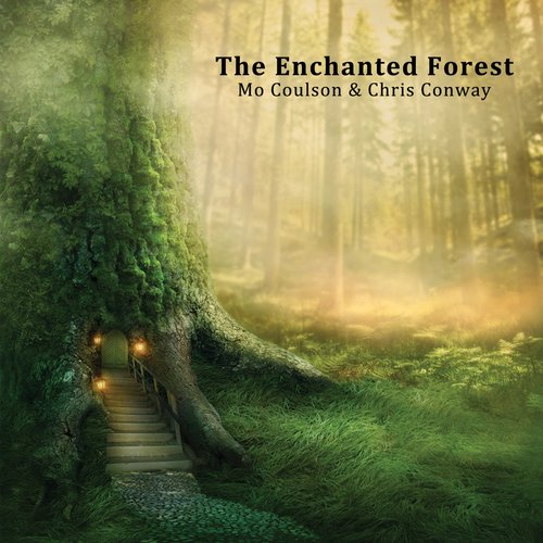 The Enchanted Forest