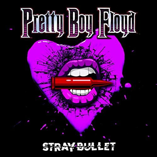 Stray Bullet