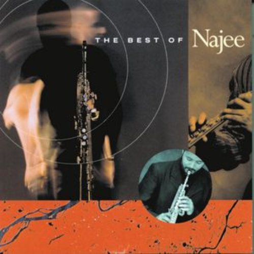 The Best Of Najee