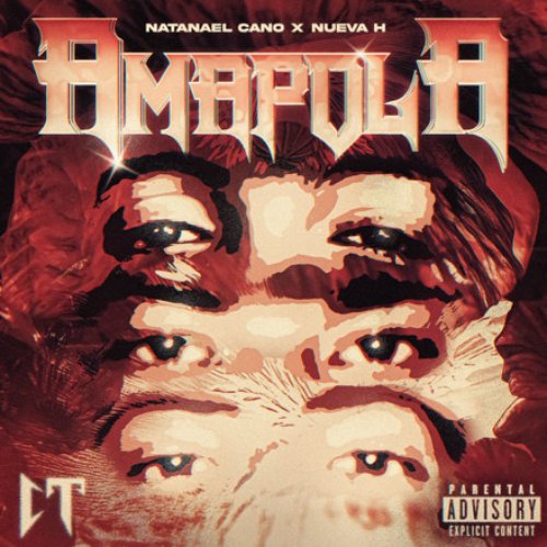 amapola