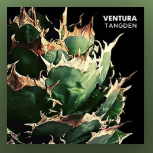 VENTURA