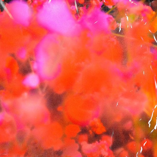 The Dress with Pockets - EP