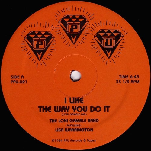 I Like The Way You Do It