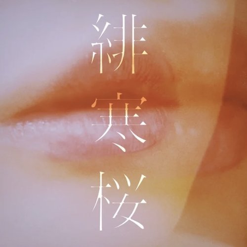 緋寒桜