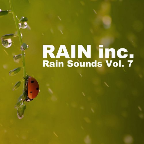 Rain Sounds Vol. 7