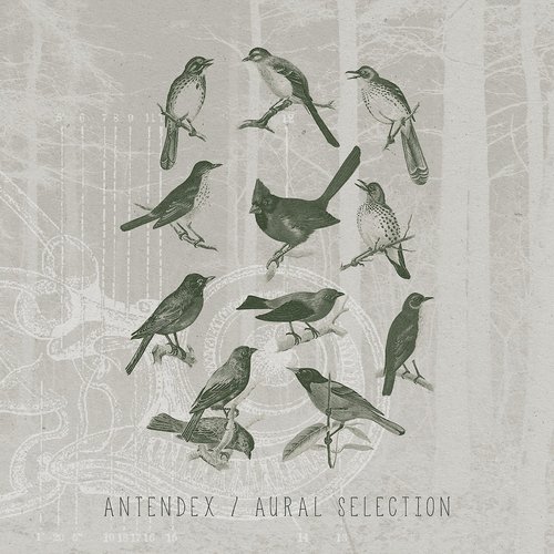 Aural Selection
