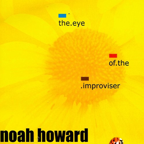 The Eye of the Improviser