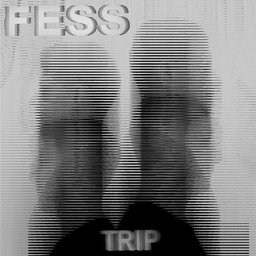 Trip