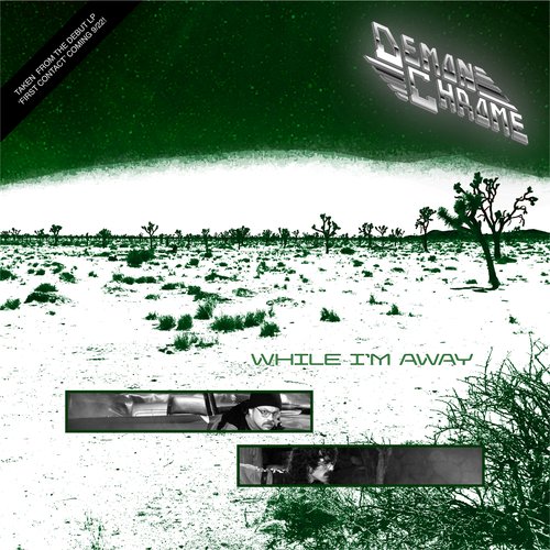While I'm Away - Single