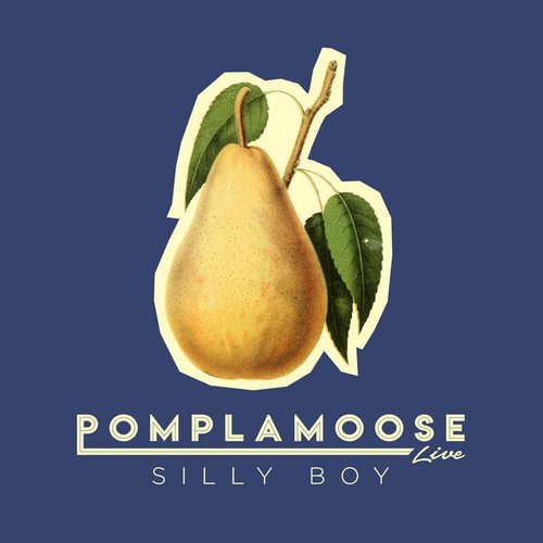 Silly Boy - Single