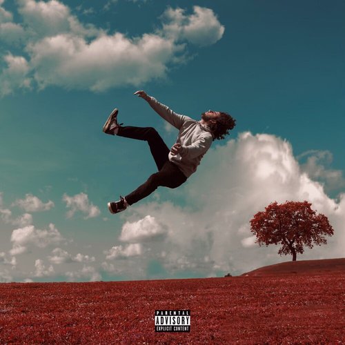 Mixed Feelings - Single