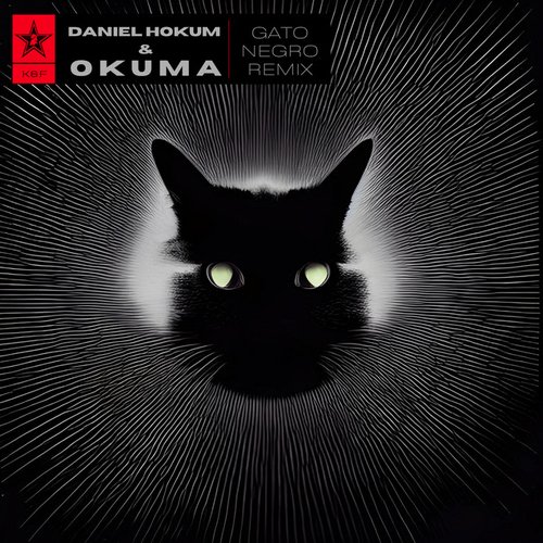 Gato Negro (Daniel Hokum & Okuma Remix)