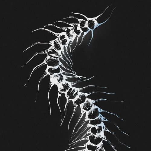 Crawl - Single