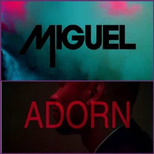 Adorn - Single
