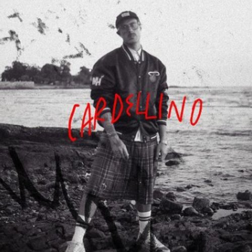 cardellino