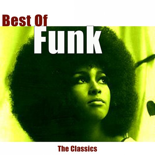 Best of Funk (The Classics)