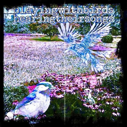 playing with birds, hearing their songs