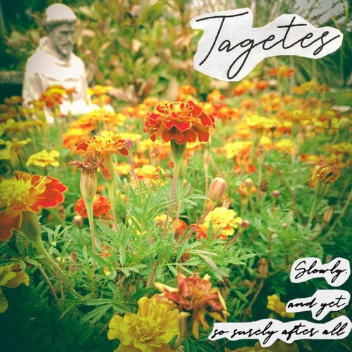 Slowly, And Yet So Surely After All - EP