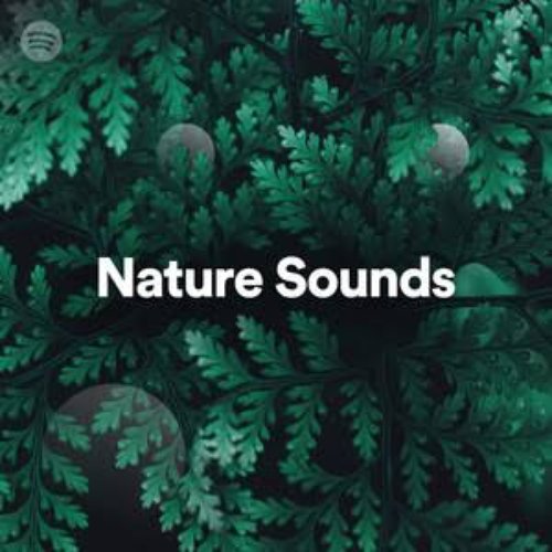 Nature Sounds