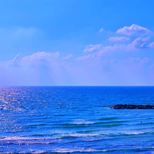 Shoreline