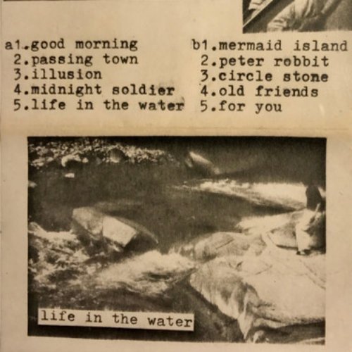 Life in the Water
