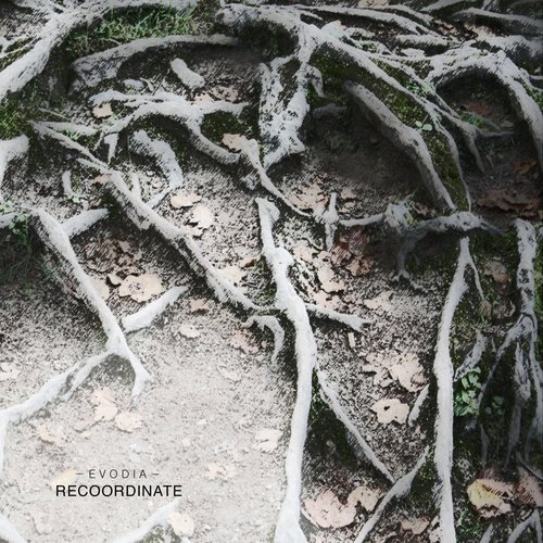 Recoordinate