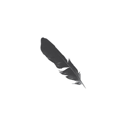 Black Feather