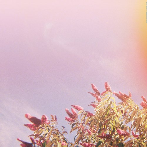 Maddie EP