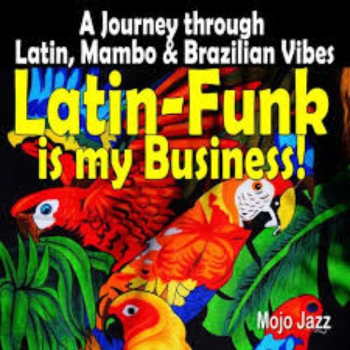 Latin-Funk is my Business! (A Journey Through Latin, Mambo & Brazilian Vibes)