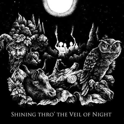 Shining thro' the Veil of Night