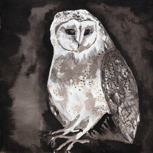 Owl Song - Single