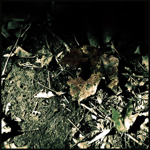 The Last Leaf of Fall (Demo)