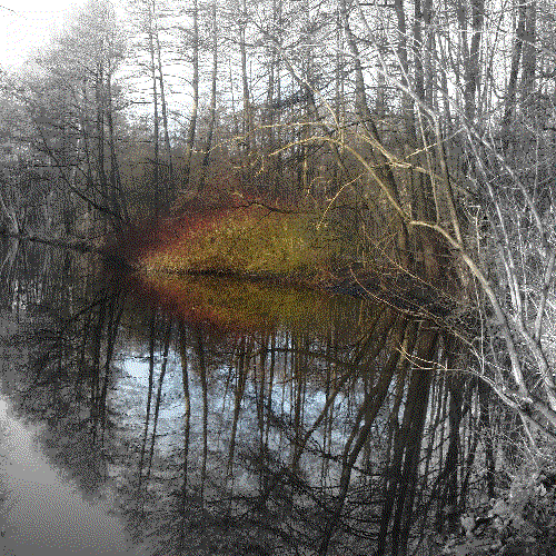 When love is gone (we stay alone)