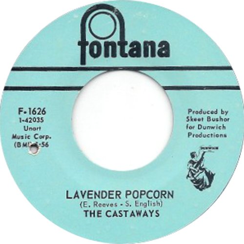 Lavender Popcorn / What Kind Of Face