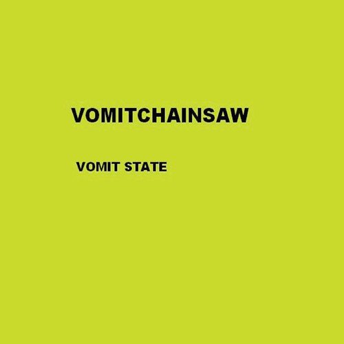 vomit state