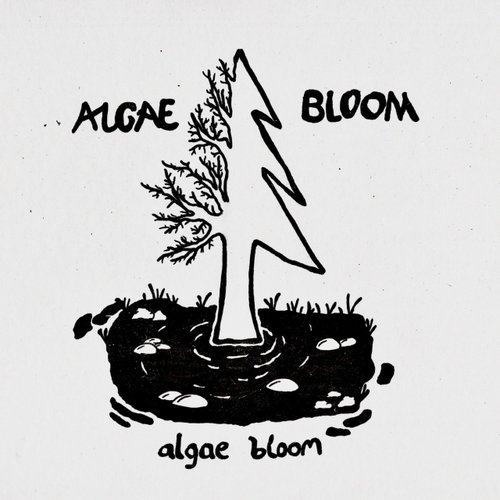 Algae Bloom