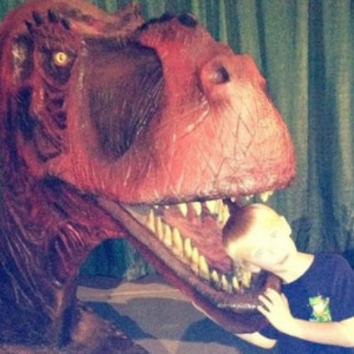 Dino