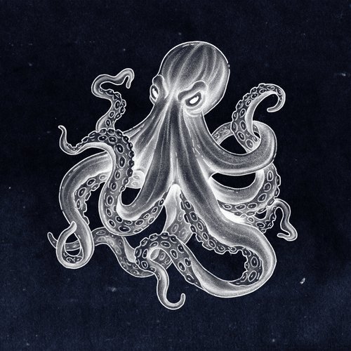 Kraken