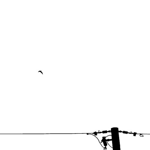 Salvia Divinorum [Explicit]