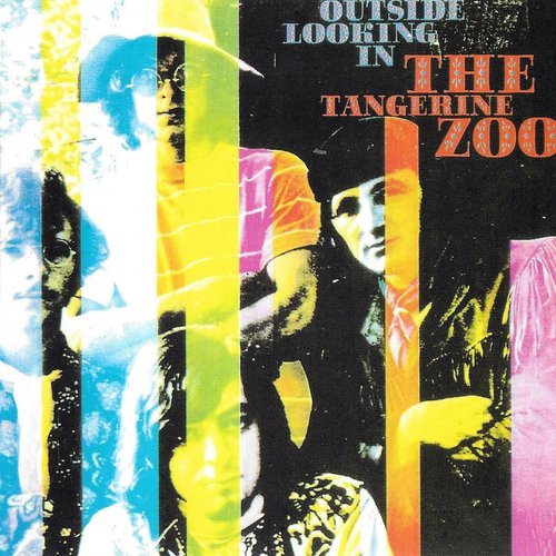 Outside Looking In / The Tangerine Zoo