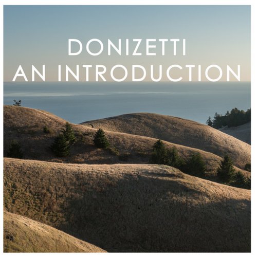 Donizetti: An Introduction