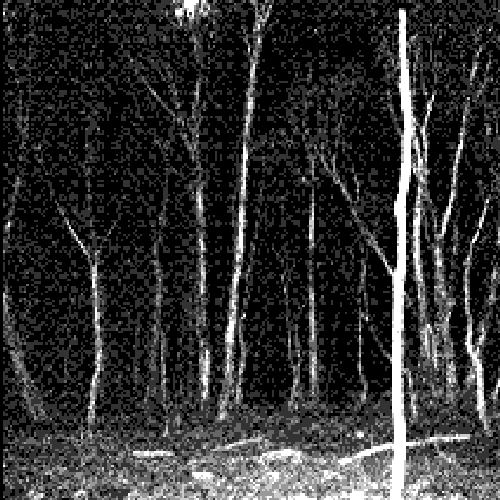 Abhorrent Visions of Misery
