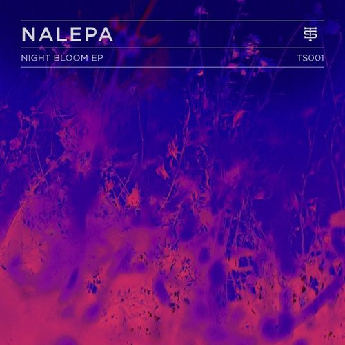 Night Bloom EP