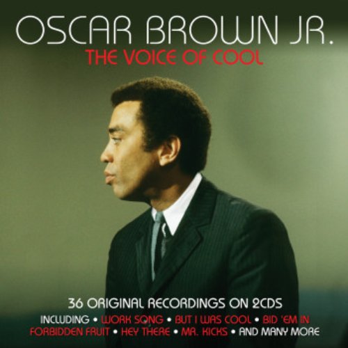 The Voice Of Cool