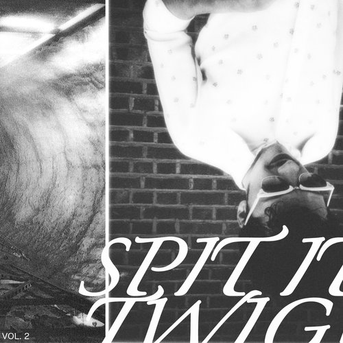 Spit It Twig! Vol. 2