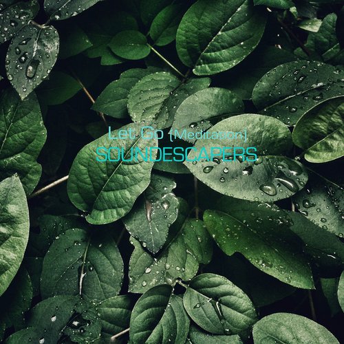 Let Go (Meditation)