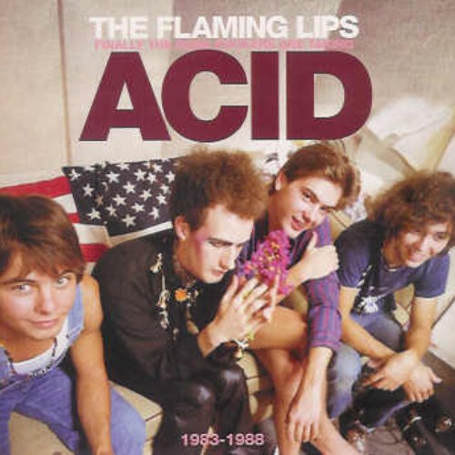 Finally The Punk Rockers Are Taking Acid (1983-1988)