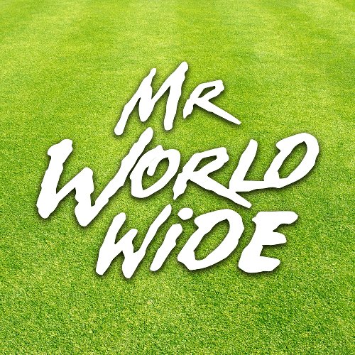 Mr Worldwide