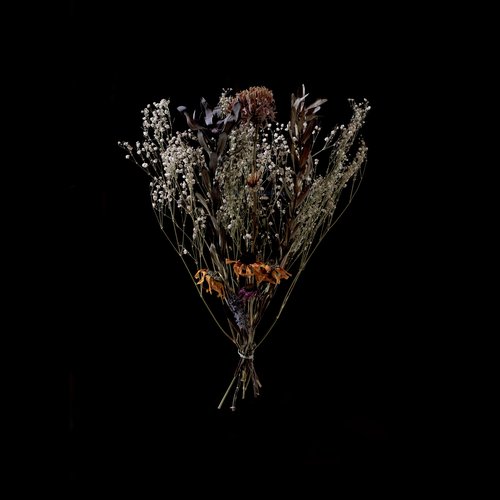 Wither